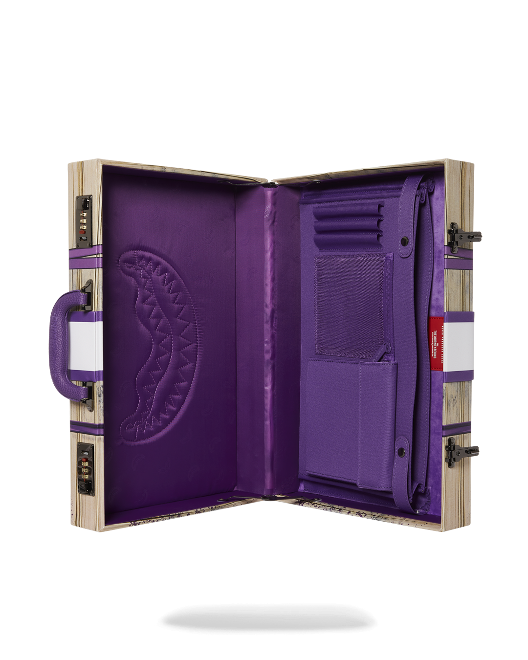 BILLIONS IN THE BANK BRIEFCASE